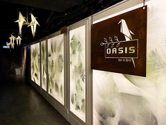 -Oasis Bar & Grill