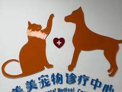 -美美宠物诊疗中心·异宠·骨科(滨江东信分院)