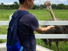 -瑞穗牧场