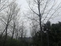 -三圣花乡旅游区