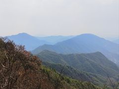 -江西阳明山国家森林公园