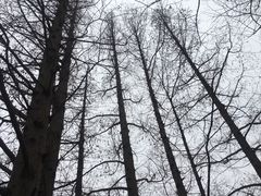 -国家植物园南园