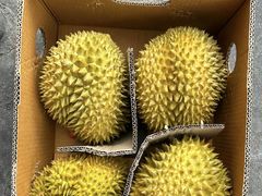 -西郊国际农产品交易中心