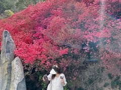 -木兰云雾山