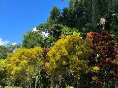 -中国科学院西双版纳热带植物园