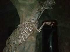 -世界恐龙谷景区