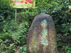 -梧桐山风景名胜区