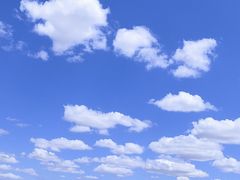 -希拉穆仁草原