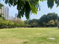 -广州珠江公园