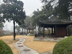 -梅园
