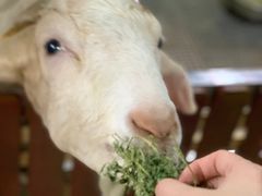 -上海大自然野生昆虫馆(东方明珠·爬宠昆虫探索中心)