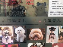 -全心全意连锁动物医院(石景山店)