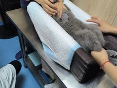 -恒幸动物医院·急重症转诊中心·神经内外科·CT核磁