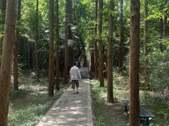 -同里国家湿地公园