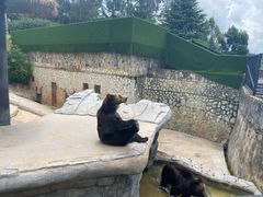 -云南野生动物园