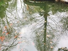 景观位-复旦大学本部-食堂
