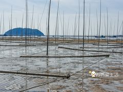 -小皓村
