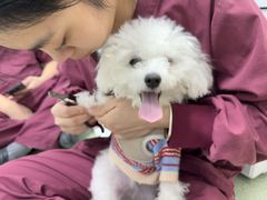 -瑞派康怡24h宠物医院·犬猫医疗中心·微创绝育(瑞景分院)