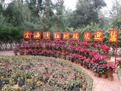 -北海金海湾红树林生态旅游区