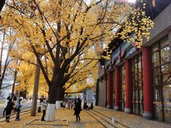 -四川大学(华西校区)