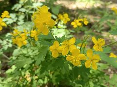 -长春市南湖公园