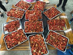 -三圣花乡旅游区