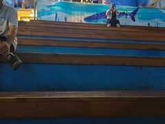 -烟台海昌鲸鲨海洋公园