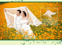 -麦莎MA3A摄影工作室(美兰金邸店)