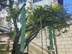 -黄山西海饭店-自助餐厅