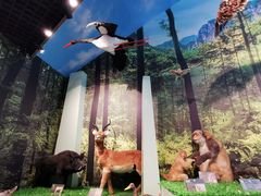 -房山世界地质公园博物馆