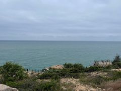 -广东惠东海龟国家级自然保护区