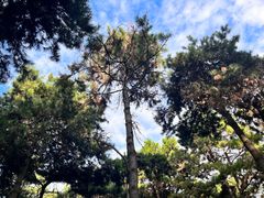 -长春市南湖公园