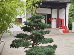 -上海醉白池公园