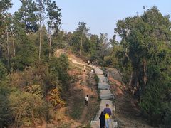 -青龙山国家森林公园