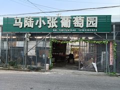 -马陆小张葡萄园农家乐