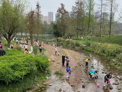 -重庆彩云湖湿地公园