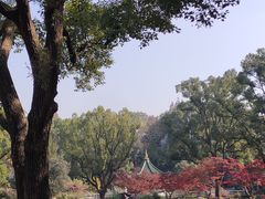 -申粤轩酒楼·三十年粤菜经典(丁香花园店)