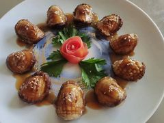 -大班家政月嫂育儿嫂(总部店)