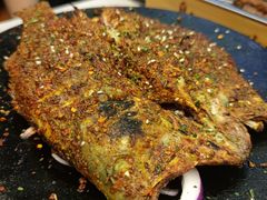 -福苗小骆驼烧烤(莲湖路店)