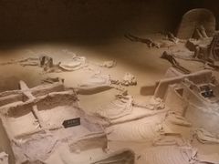 -洛阳周王城天子驾六博物馆