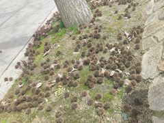 -同济大学(嘉定校区)