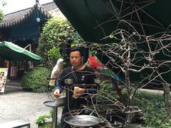 -西湖外事游船(花港观鱼码头)