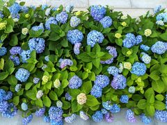 -安徽大学(龙河校区)