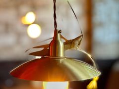 -毛辣果·酸(OHA复兴西路店)