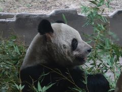 -常州淹城野生动物世界
