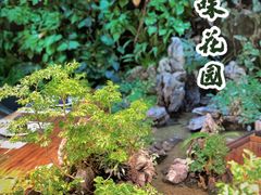 -森味薪火烧•烧鸟居酒屋•日本料理(望京店)