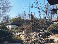 -郑州银基黄帝宫御温泉