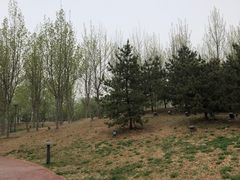 -马家湾湿地公园