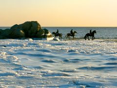 -老虎石海上公园