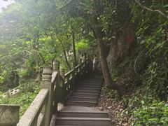 -午潮山国家森林公园